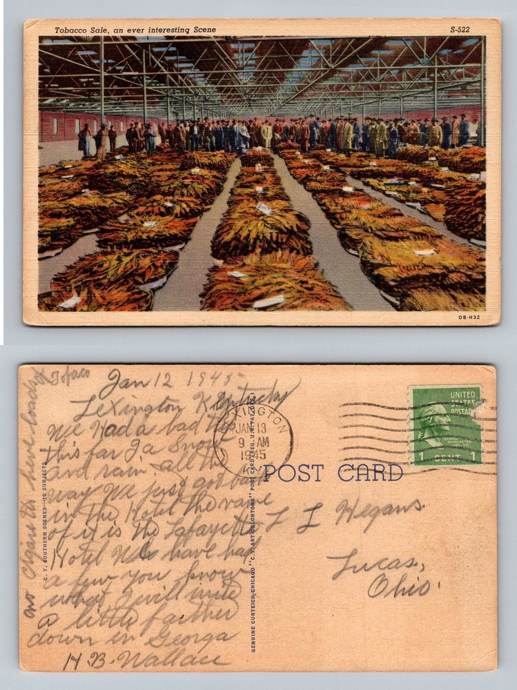 Lexington, KY-Kentucky, Tobacco Sale Warehouse Auction Vintage c1945 Postcard