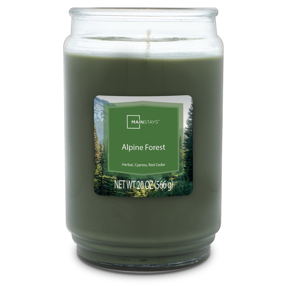 Mainstays 20oz Alpine Forest Scented Single Wick Glass Jar Candle