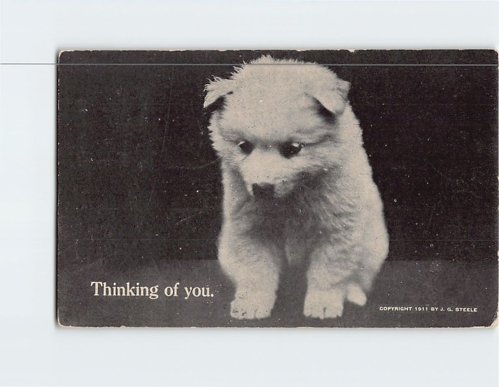 Postcard Thinking of You Cute Puppy