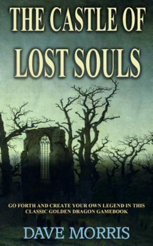 Castle of Lost Souls, Paperback by Morris, Dave, Brand New, Free shipping in ...