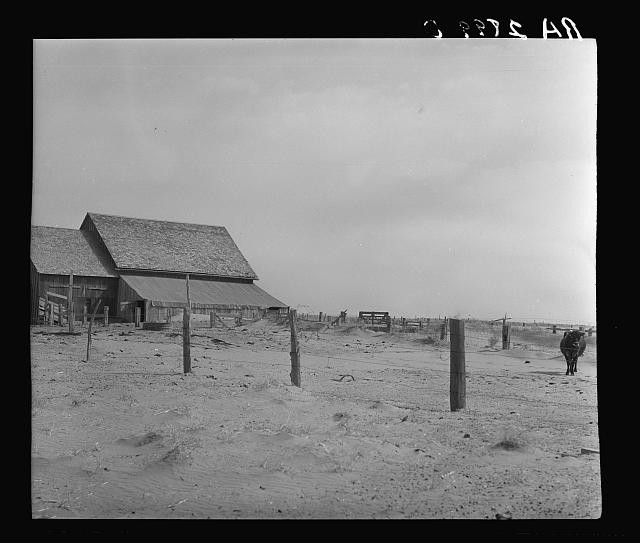Hartley County Texas 1936 Dust Storm Farmyard Drifting Soil Farmhouse