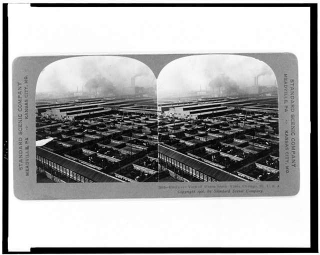 Photo of Stereograph,Bird's Eye View,Union Stock Yards,Chicago,Illinois,IL,1906