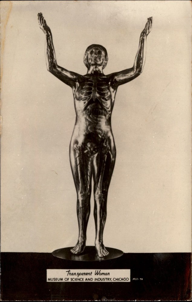 RPPC Transparent Woman Museum of Science Chicago vintage postcard m269