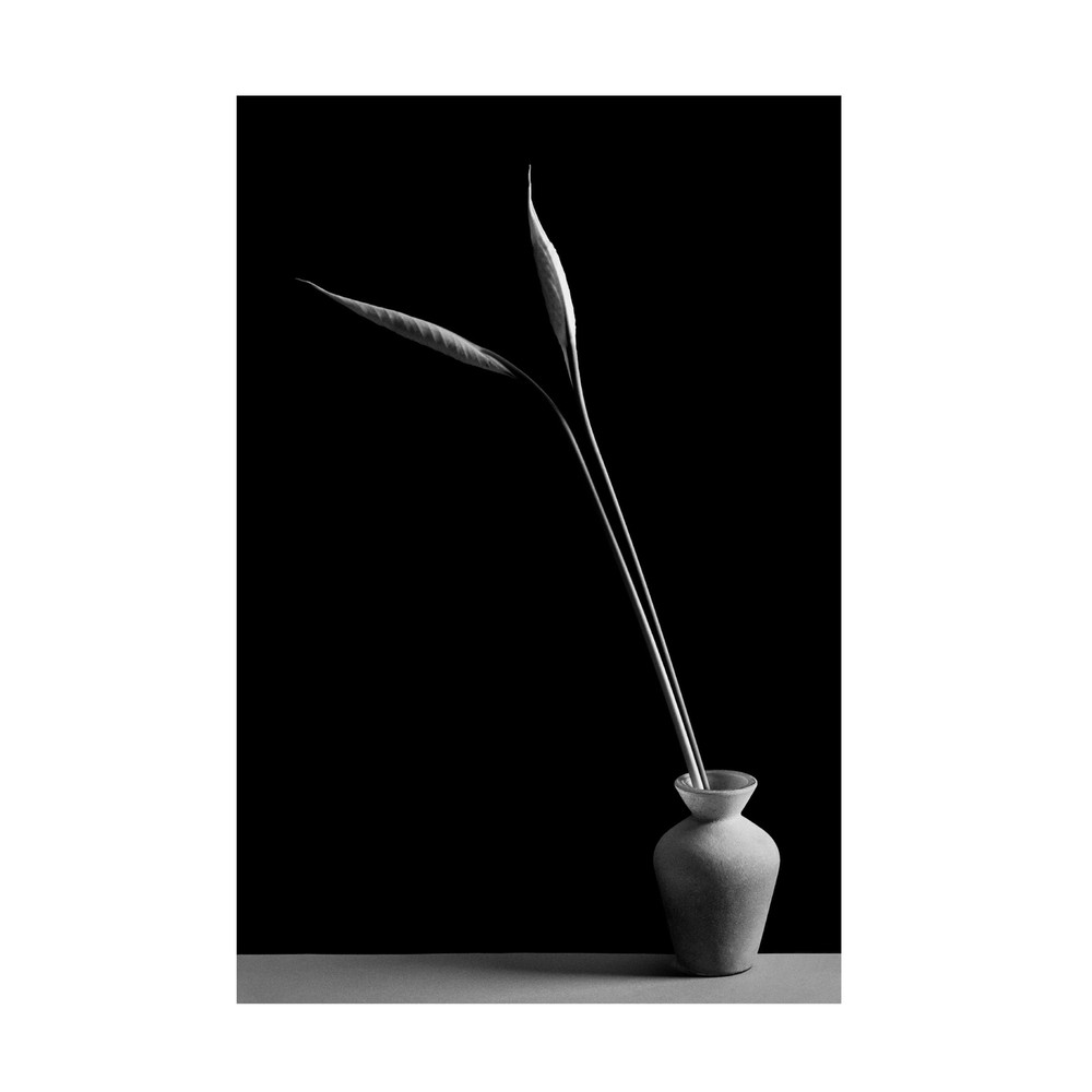 Canvas Wall Art - Kristina Oveckova 'Double' Wall Art for Living Room, Bedroo...