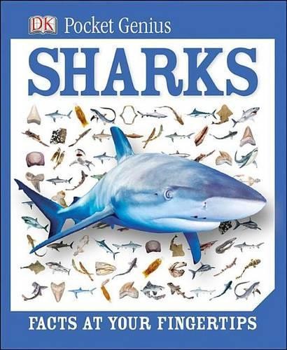Sharks: Facts at Your Fingertips (Pocket Genius), Dk