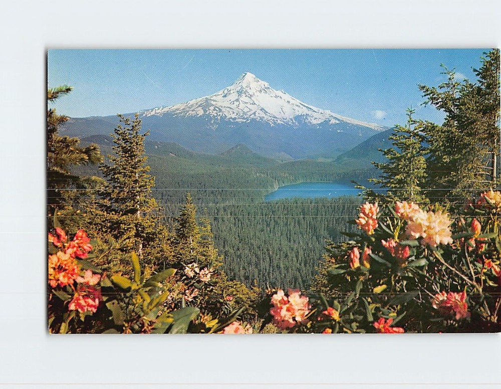 Postcard Mount Hood and Lost Lake Oregon USA