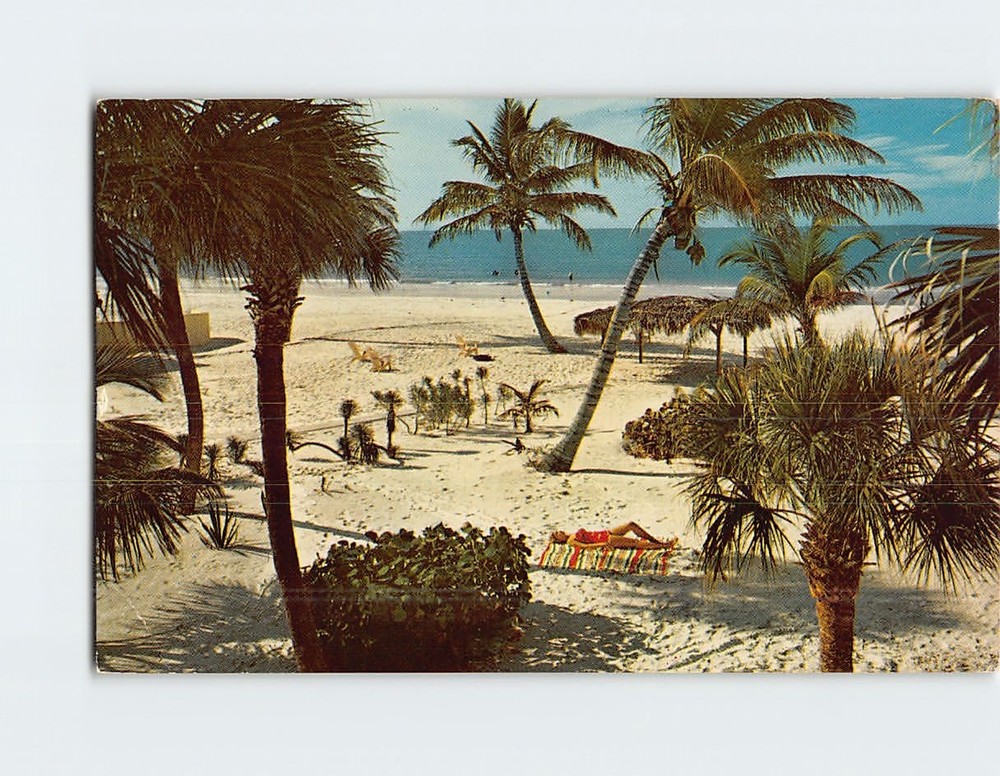 Postcard Beach Scene Florida USA