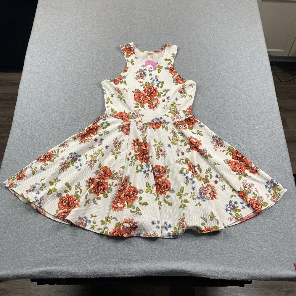 Lara Fashion Womens Floral Babydoll Dress Sleeveless Flare Made in USA Large