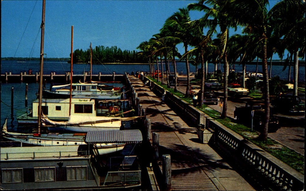 Yacht Harbor~Caloosahatchee River~Ft Myers Florida~1950s pickup truck cars
