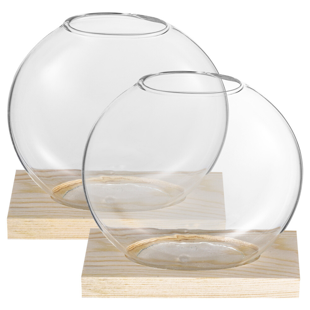 2 Sets Plant Propagation Terrariums Flower Vase Glass Aquarium Station