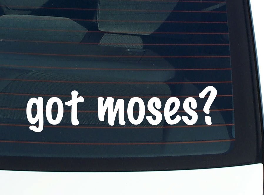 Got Moses Funny Last Name Car Decal Bumper Sticker Vinyl Window Pride