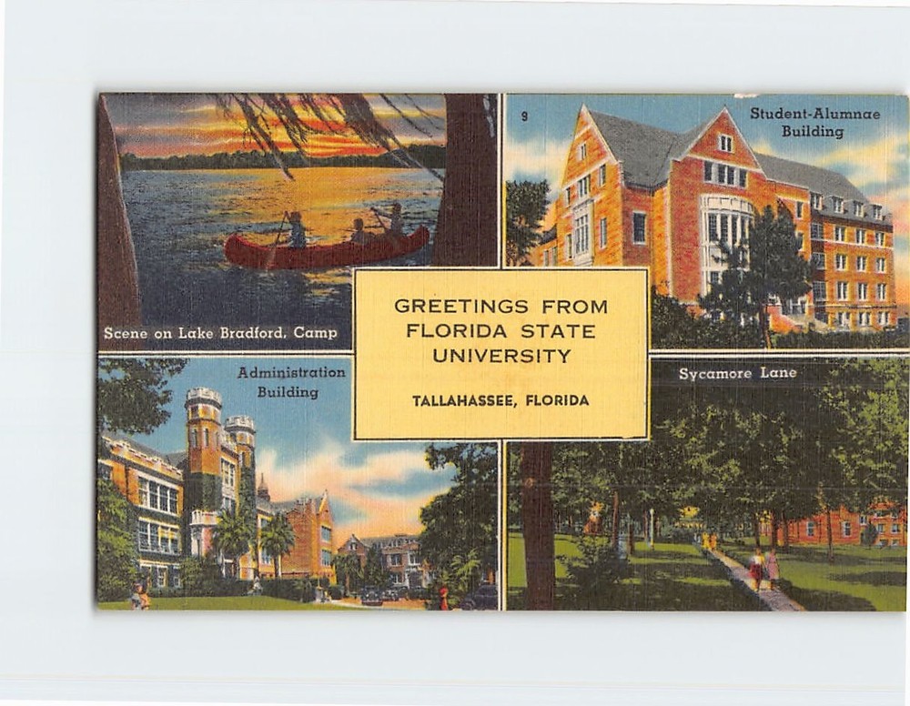 Postcard Greetings From Florida State University Tallahassee Florida USA
