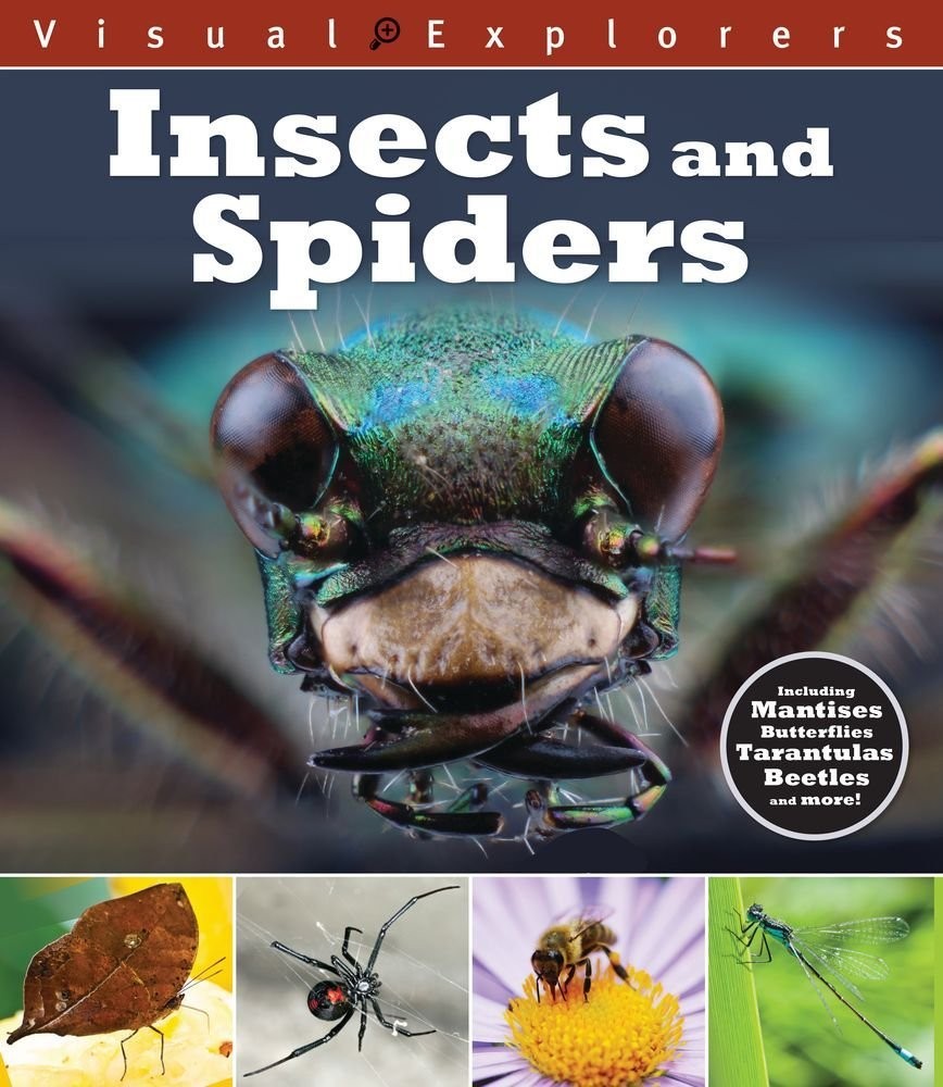 Insects and Spiders (Visual Explorers) - Reynolds, Toby|Calver, Paul - Accep...