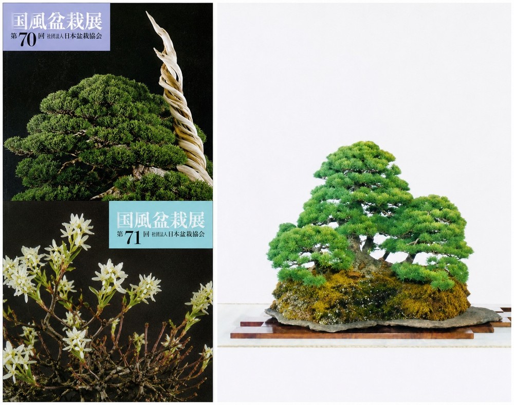 Official KOKUFU Bonsai Exhibition Photo Books No.70&71 Japan Historic Record Set