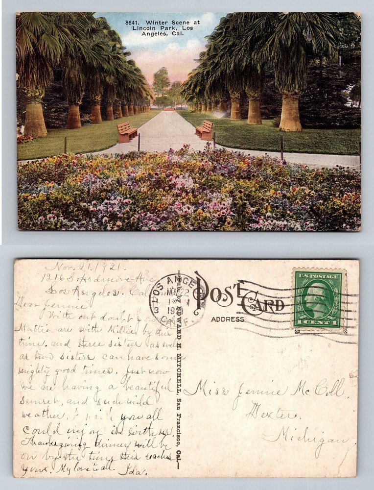 Los Angeles, CA-California Lincoln Park Winter Scene Palm Walk Vintage Postcard