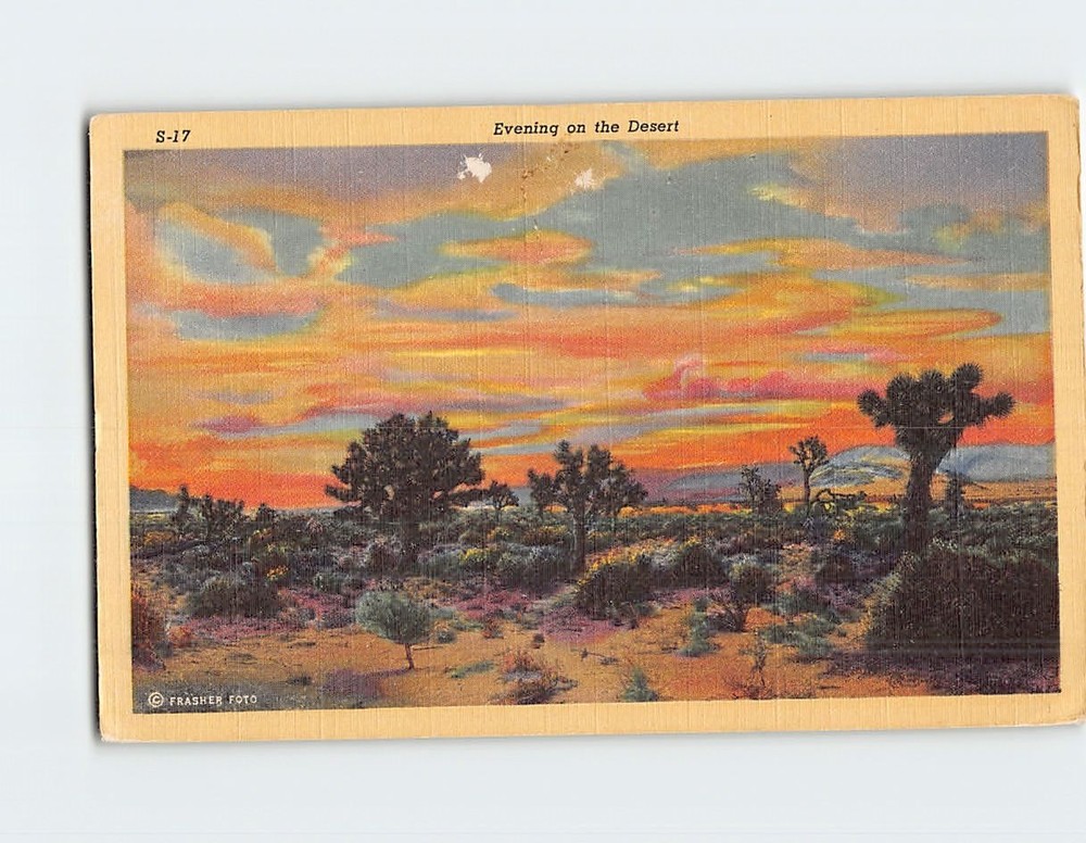 Postcard Evening on the Desert