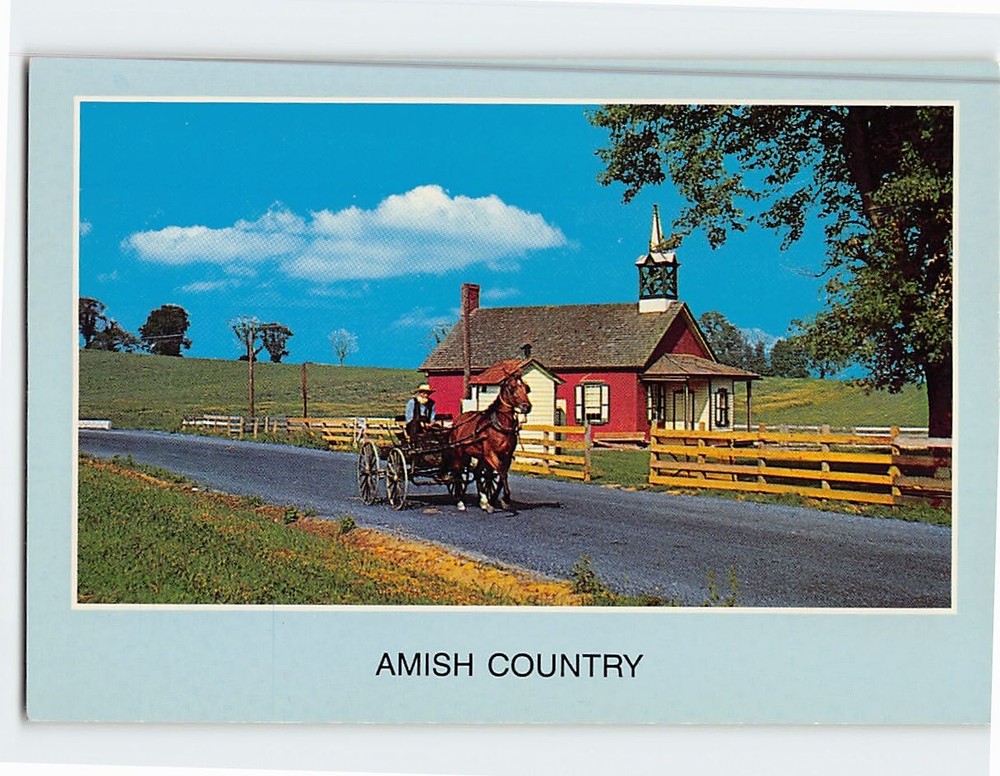 Postcard Amish Country Pennsylvania USA