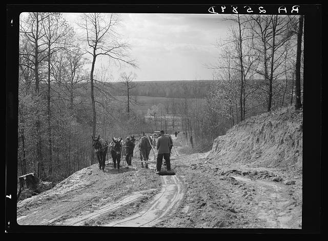Memphis Tennessee Shelby Forest Road Building 1936 Horse Team Road Crew