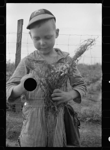Photo:Boy with Flowers 1930s Rural Field Farm Portrait