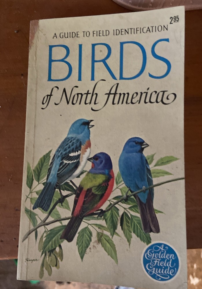 Birds of North America A Guide To Field Identification Vintage 1966 Golden Guide
