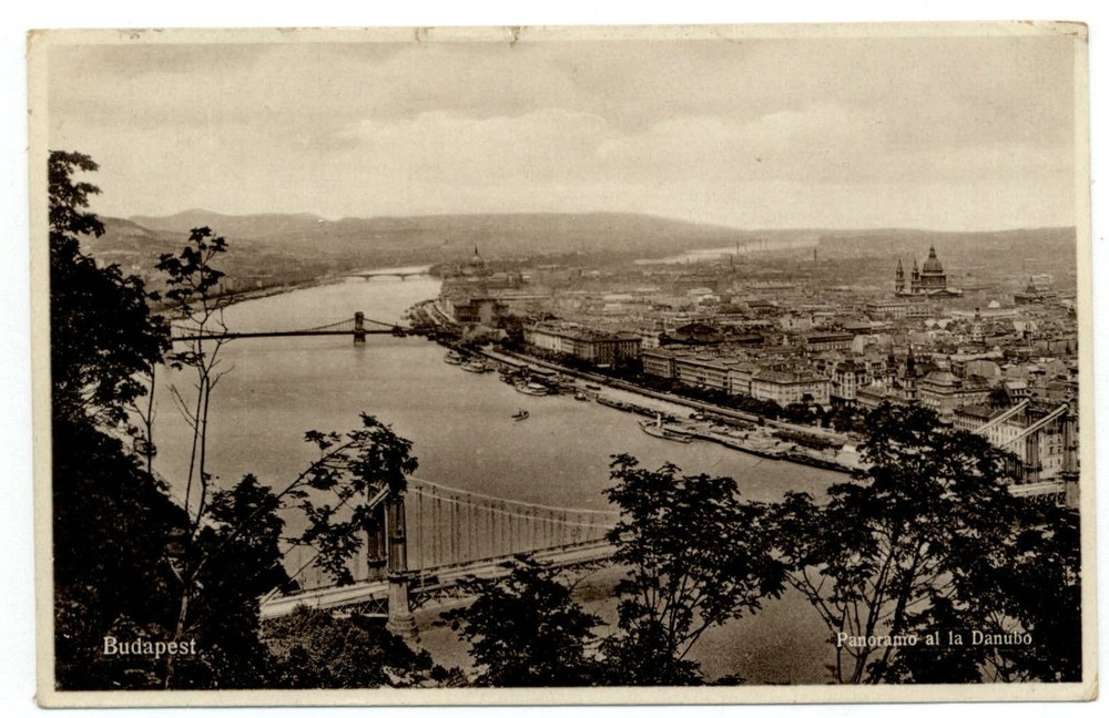 Budapest Hungary Panorama al la Danubo vintage postcard s451