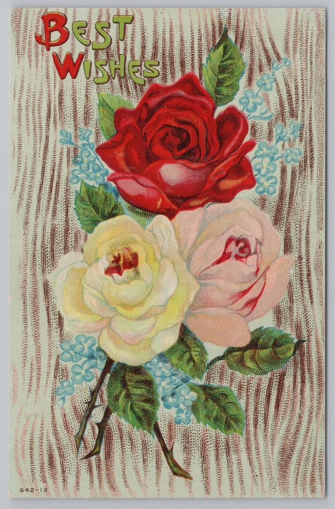 Greetings~Forget Me Nots Yellow Pink & Red Roses Best Wishes~Vintage Postcard
