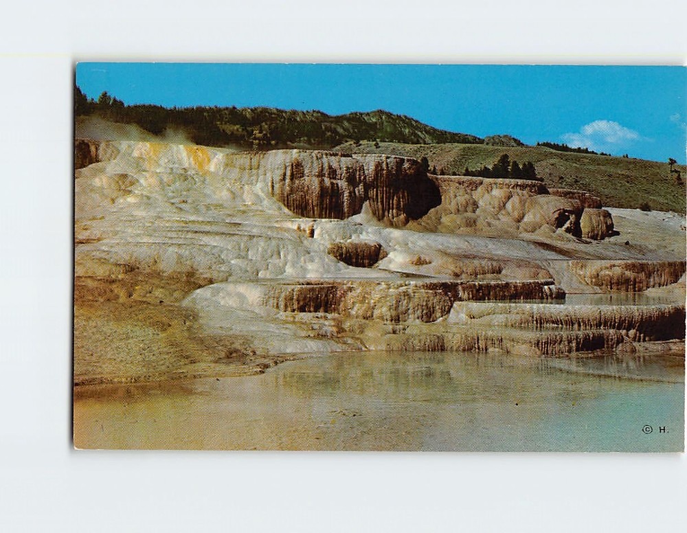 Postcard Minerva Terrace Mammoth Yellowstone National Park Wyoming USA