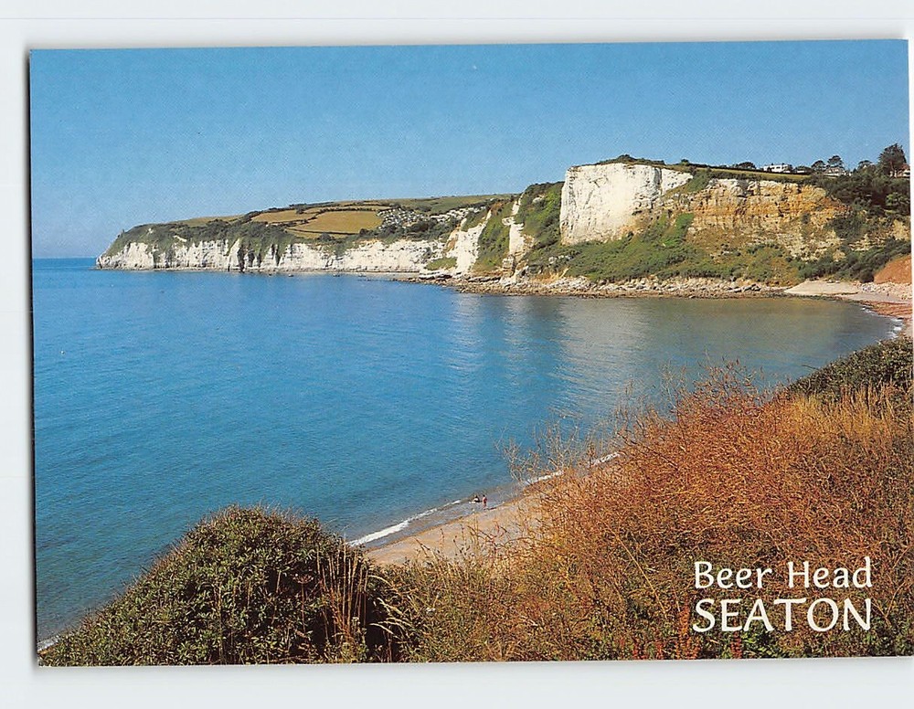 Postcard Beach & Beer Head Seaton England
