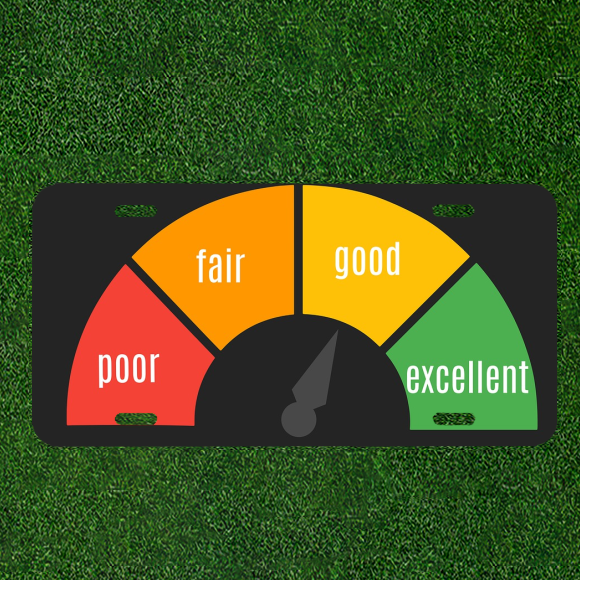 Custom Personalized License Plate Auto Tag With Poor Fair Good Excellent Meter