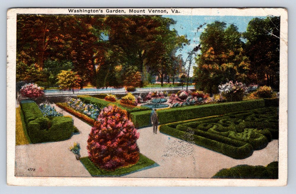 Vintage Postcard Washington's Garden Mount Vernon Virginia
