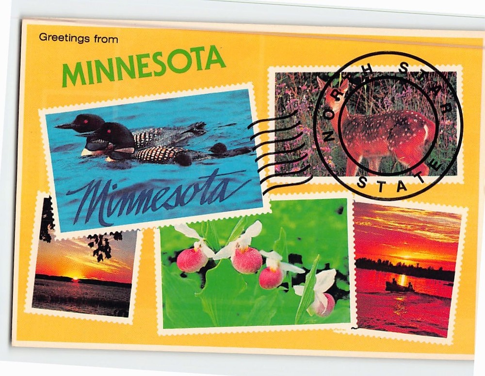Postcard Greetings from Minnesota USA