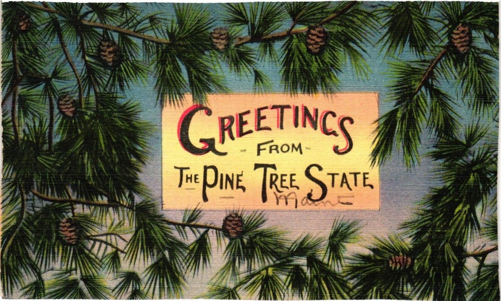 Vintage Maine Greetings from The Pine Tree State Linen Postcard 1949
