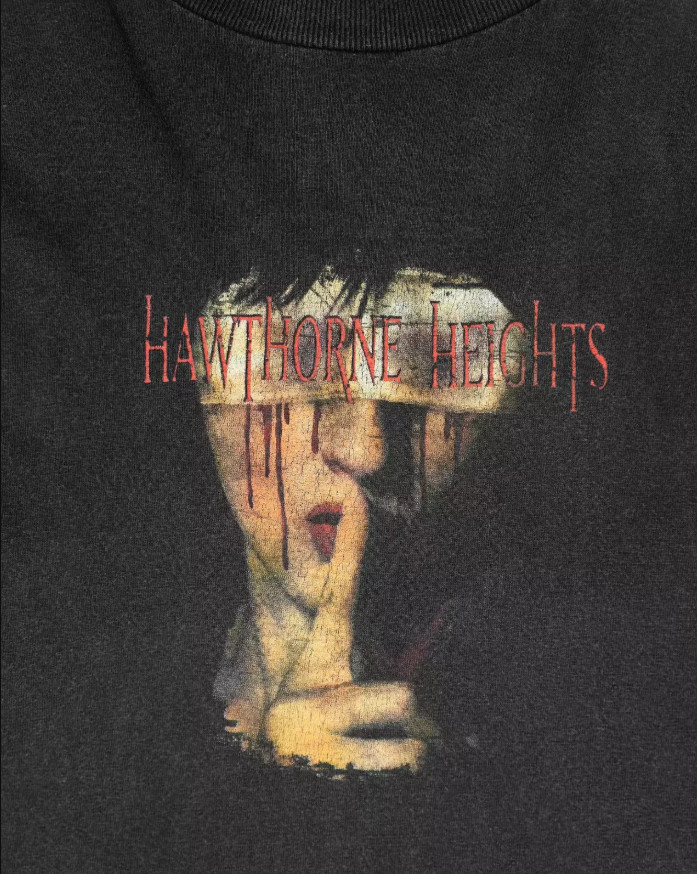 Hawthorne Heights Black T-Shirt Cotton Full Size Unisex S-5XL