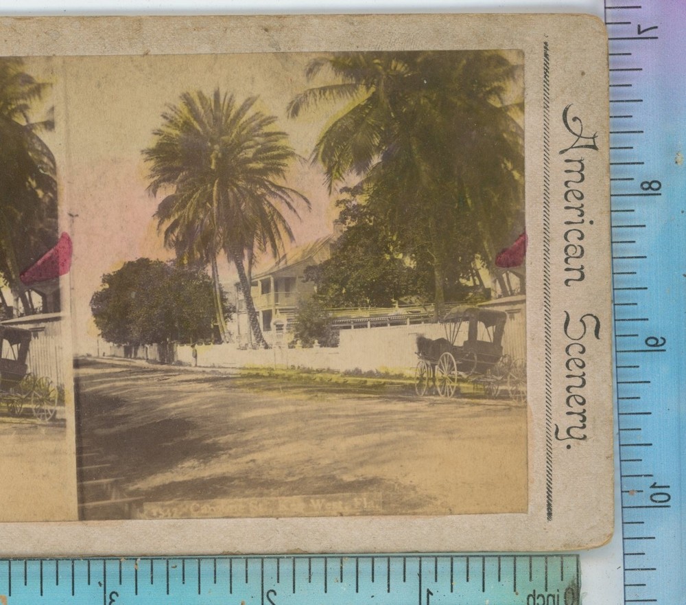 Street Scene Key West FL Florida Stereoview
