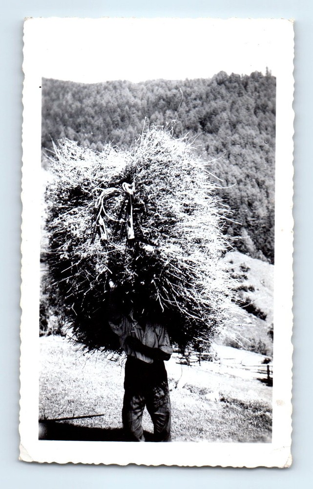 Old Vintage Photo MAN MOUNTAIN FARMER CARRYING HAY ANTIQUE SNAPSHOT 1946