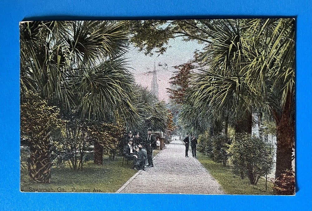 GEORGIA SAVANNAH GA PALMETTO AVENUE 1910 Postcard Made In Germany