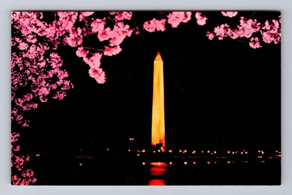 Washington DC The Washington Monument and Cherry Blossoms Vintage Postcard
