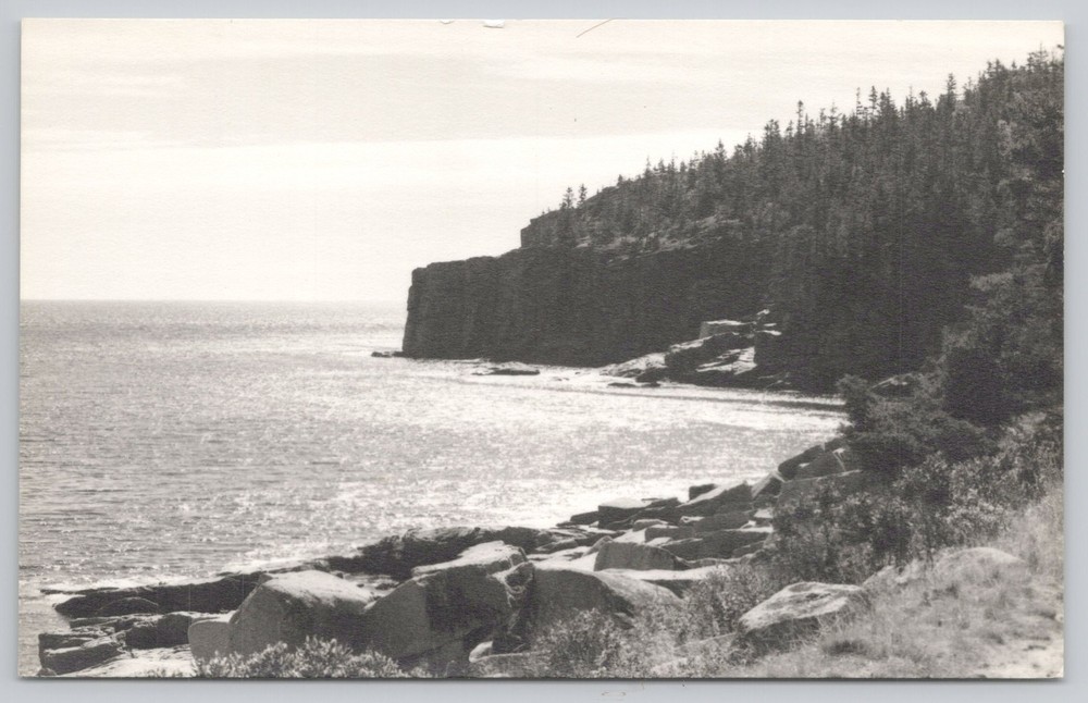 Postcard RPPC Otter Cliffs Mount Desert Island Maine Acadia National Park-image