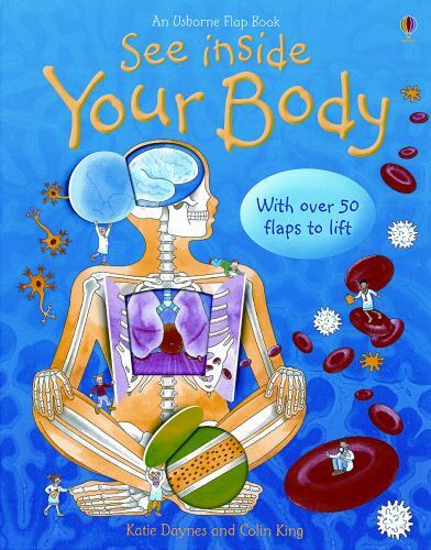 See Inside Your Body by Katie Daynes (2006, Children's Board Books)