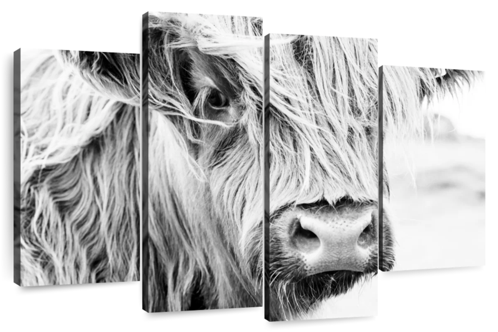 Long Haired Cow Wall Art