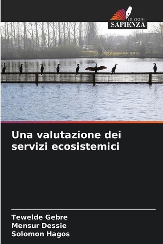 Una valutazione dei servizi ecosistemici by Tewelde Gebre (Italian) Paperback Bo