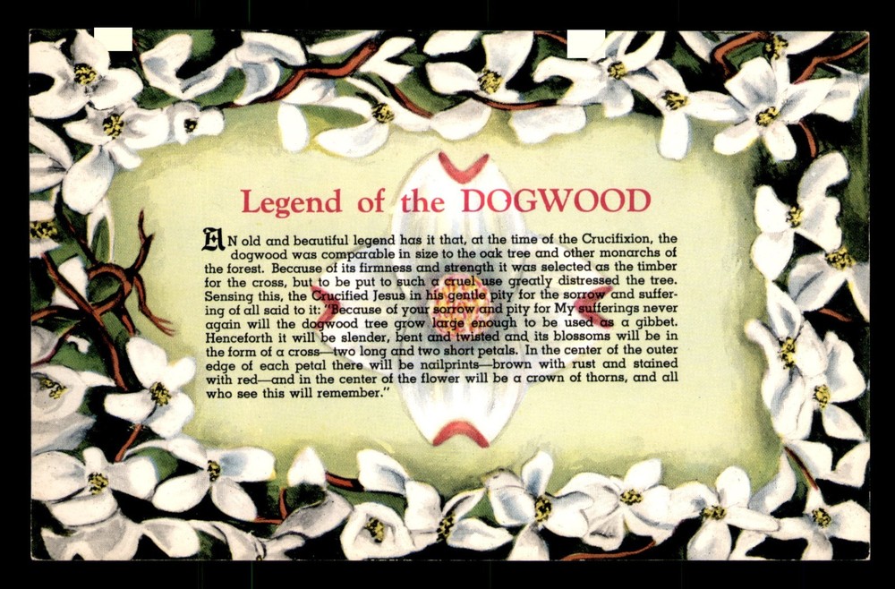 Legend Of Dogwood Crucifixion Of Jesus Unp Postcard