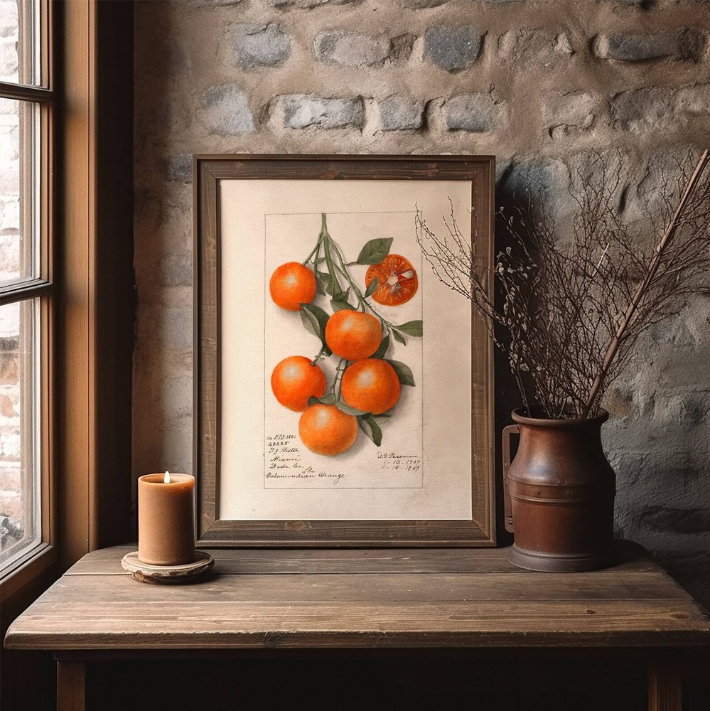 Vintage Orange Print Wall Art Botanical Fruit Art Print Fruit Study Painting