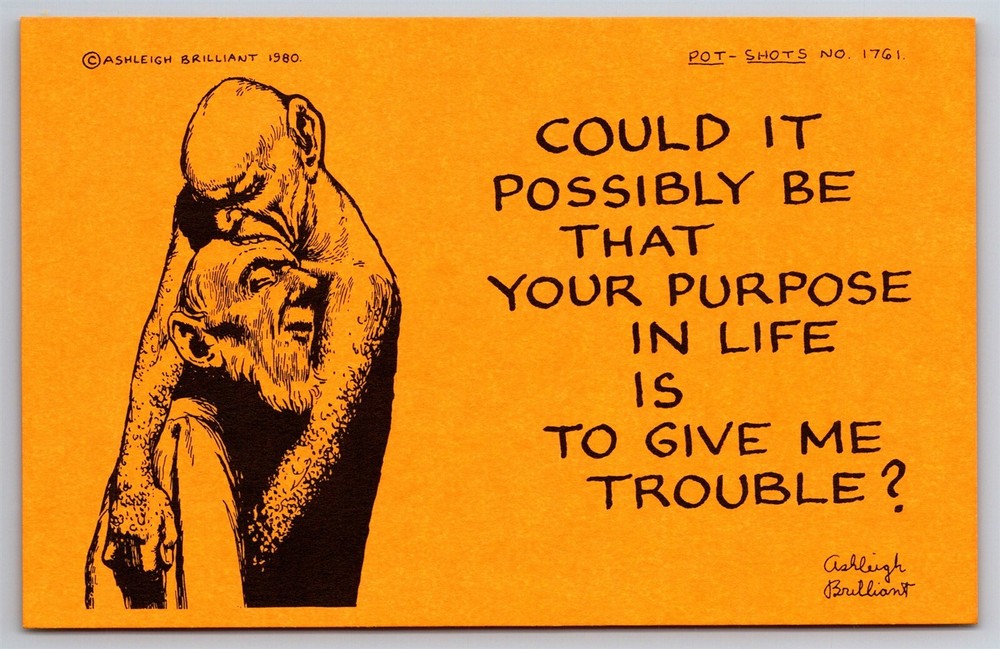 Pot Shots Humor Postcard Ashleigh Brilliant #1761 Could It Possibly Be That Your