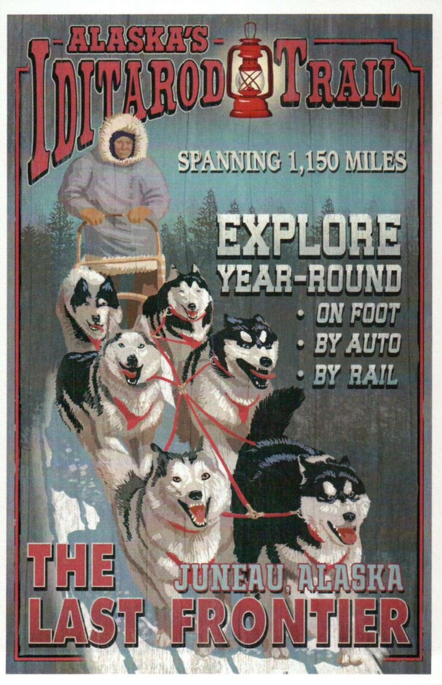 Iditarod Trail Juneau Alaska, Husky, Malamute, Sled Dog Race, AK --- Postcard