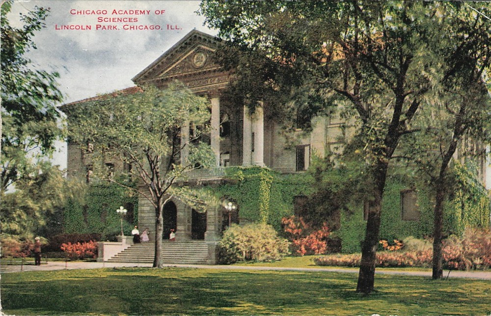 1910s Chicago Academy of Sciences Lincoln Park Illinois #1640 Postcard