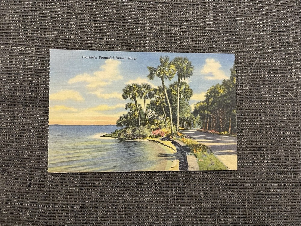 Linen Postcard Cocoa-Rockledge, FL~Beautiful Indian River Along Indian River Dr.