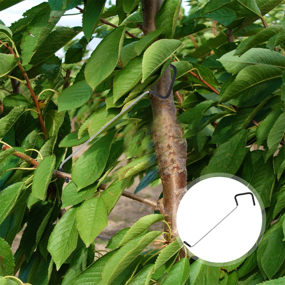 10 Pcs Tree Branch Shapers for Fruit Trees – Sturdy Limb Spreaders & Supports