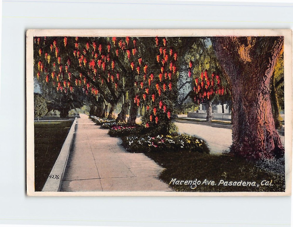 Postcard Marengo Avenue Pasadena California USA