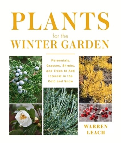 Winter Garden Plants: Perennials, Grasses, Shrubs, and Trees for Cold Seasons